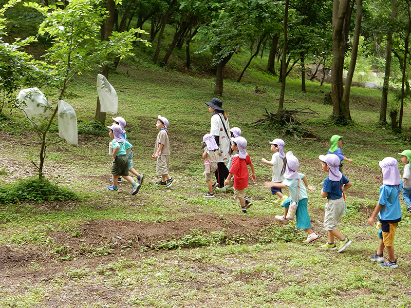 p2_①園舎裏の里山