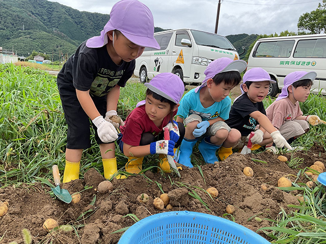 7月じゃがいも掘り